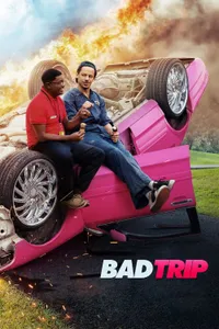 Bad Trip - Şaka Peşinde izle